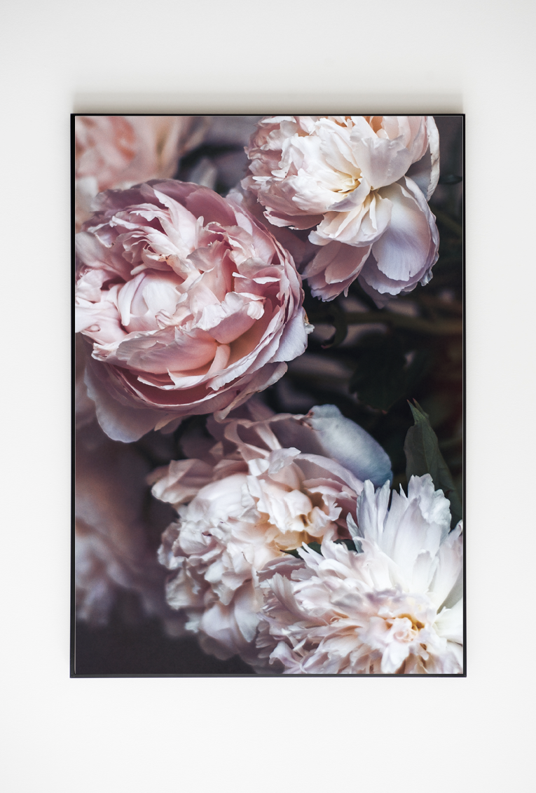 tbeprint Poster 'Blume'